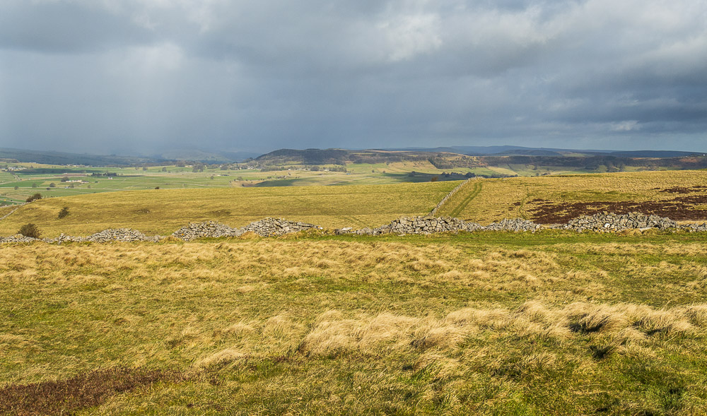 Abney Moor Abney Moor